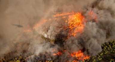 Orman yangınlarını önlemek işbirliği ile mümkün