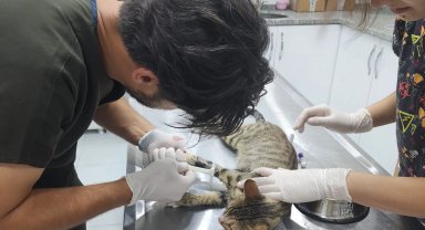 Osmaniye'de 'Onlar Bize Emanet' projesi başladı