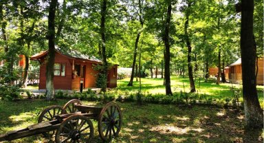 Sakarya'da Yaz kampı için geri sayım başladı