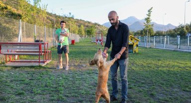 Talas'ta hayvanlara özel patiyol
