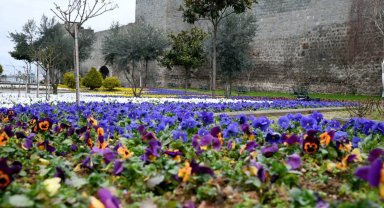 Trabzon çiçeklerle süslendi