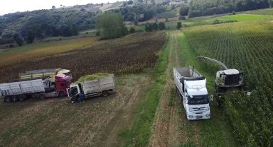 37 bin dekar mısır tarlası tarıma kazandırıldı