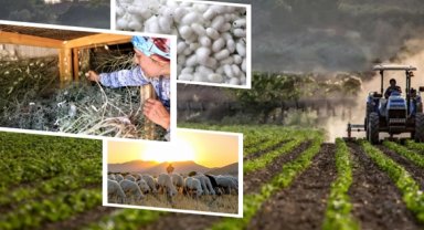 406,6 milyon TL'lik tarımsal desteklemeler hesaplarda