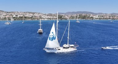 Blue Panda Türkiye'ye veda etti