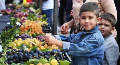 Bursa Osmangazi'nin en güzel üzümleri seçildi