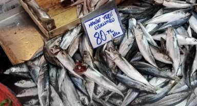 Bursa Tuz Pazarı'nda balık sezonu yoğunluğu başladı