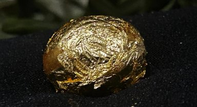 Bursa'da 'altın zeytin' görücüye çıktı