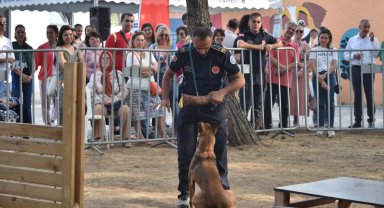 Bursa'da Halk Sağlığı Haftası'nda 'sokak hayvanları' konuşuldu