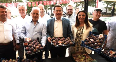 Bursa'nın siyah inciri Osmangazi'de yaşandı