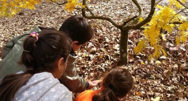 ÇEKÜL Bilgi Ağacı'na başvurular başladı