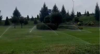 Düzce'de yağışlı havada ilginç görüntüler