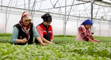 İlklerle tarım ve hayvancılıkta çığır açtılar