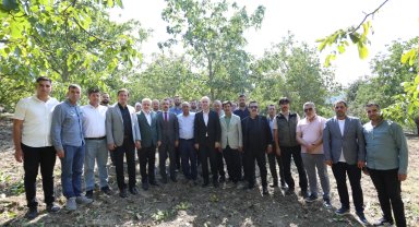 İnegöl'de hedef 42 bin ton ceviz