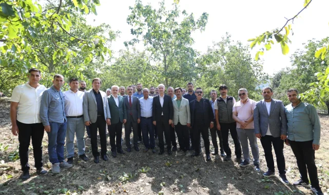 İnegöl'de hedef 42 bin ton ceviz