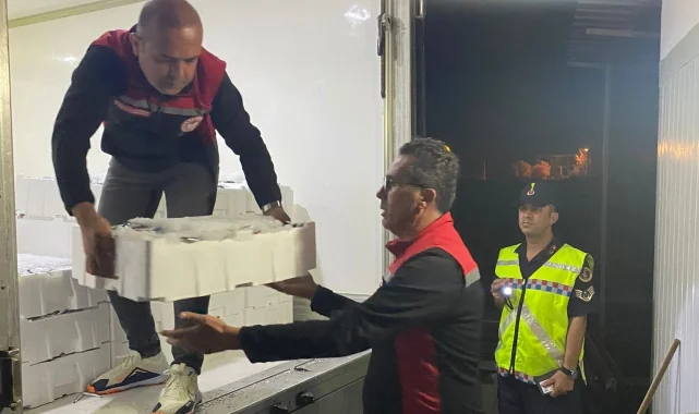 İzmir'de yasadışı avlanan bin 430 kilogram hamsiye el konuldu
