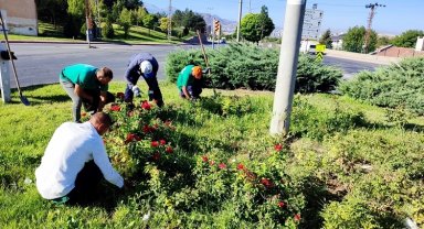Kayseri Büyükşehir'den yabani otlarla sıkı mücadele