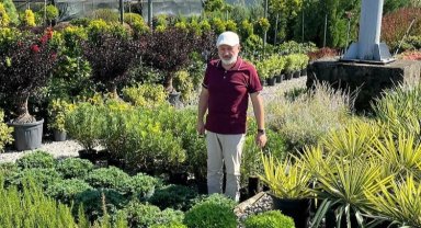 Kayseri Kocasinan daha yeşil olacak