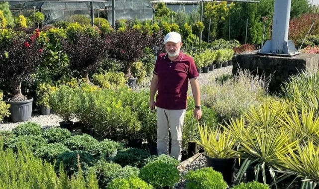 Kayseri Kocasinan daha yeşil olacak