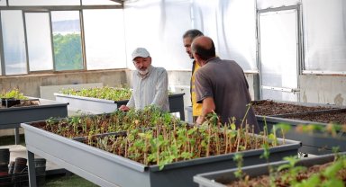 Kayseri Kocasinan yeşilleniyor