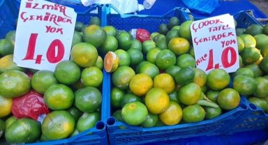 Mandalinalar Bursa pazarlarında yerini aldı