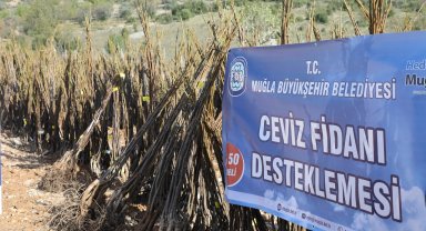 Muğla'da her kapıda bir fidan!