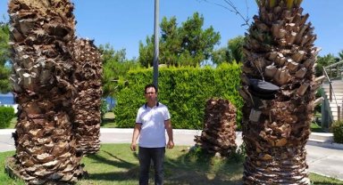 'Palmiye Kırmızı Böceği Mücadelesi' Bursa'da da uygulanıyor