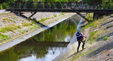 Sakarya'da Çark Deresi'nin çevresi temizleniyor