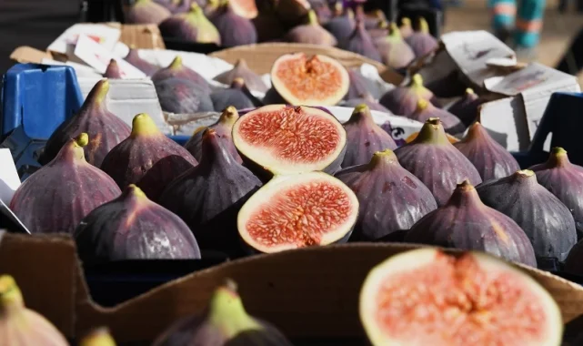 Siyah incir Bursa'nın gözbebeği
