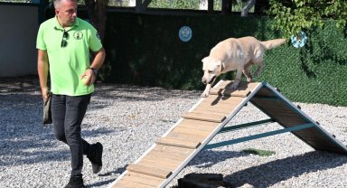'Tanyel' çocukların can yoldaşı oldu
