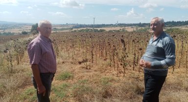 Tarlalara giden yol açıldı, çiftçi hasat gerçekleştirdi