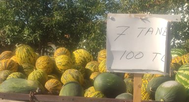 Taybıllı Kavun üreticisini dinledi