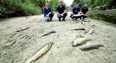 Yenişehir Kocasu'da ekosistem çöktü