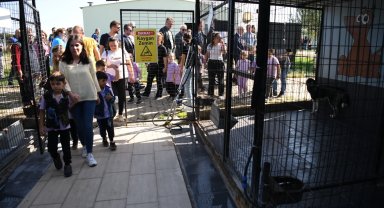 4 Ekim Hayvanları Koruma Günü'nde öğrenciler, patili dostlarıyla buluştu