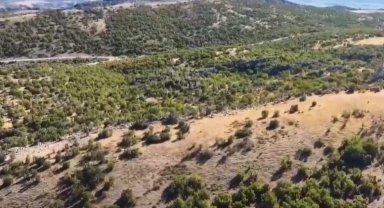 Adıyaman'da kaybolan 52 küçükbaş hayvan jandarma tarafından bulundu