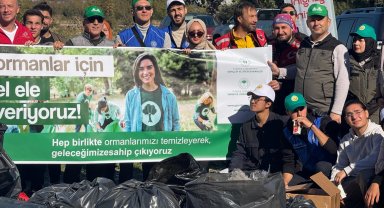 Bursa, Bilecik ve Yalova'da orman temizliği