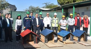 Bursa Gemlik'te patili canlar koruma altında