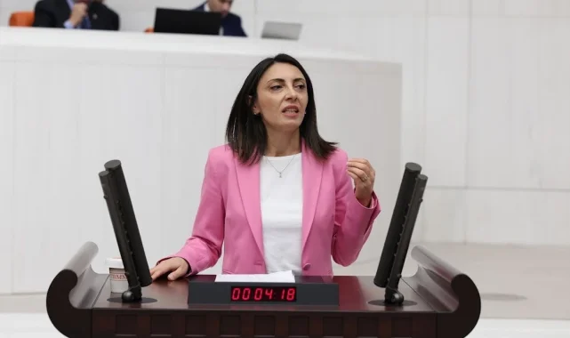 Bursa Kayapa'da yaşanan koku sorunu TBMM'ye taşındı