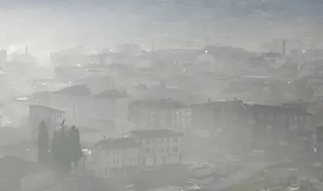 Bursa'da çevre kirliliği