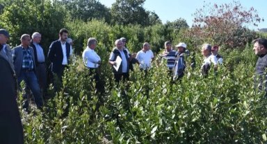 Bursa'da defne üretimi için ilk hamle!