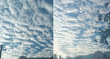 Bursa'da tehlikeli taşımacılık! Kilometrelerce trafikte seyretti