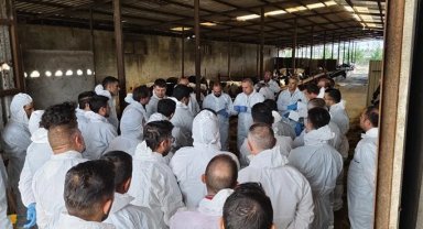 Bursa'da veteriner hekimlere etkin mücadele eğitimi