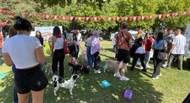 Bursa'da yuvalandırma şenliği başladı!