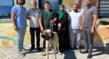 Çayırova'da 10 ayda 170 can dosta yuva bulundu