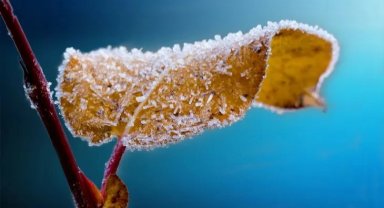 Dikkat 4 gün sürecek! Bursa için 'zirai don' uyarısı