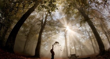 'Doğaya Kelebek Etkisi'nde dereceye girenler belli oldu