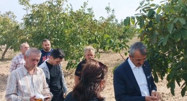 Edirne Valisi Sezer ceviz hasadına katıldı