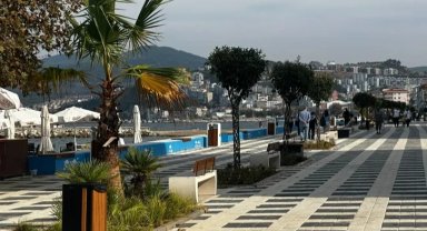 Güzelyalı sahili çiçekleniyor