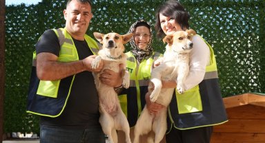 İETT kapılarını patili dostlara açtı