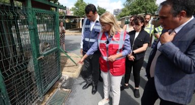 İstanbul Bakırköy can dostlarının yanında