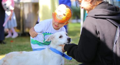 Karabağlar can dostlar için buluştu